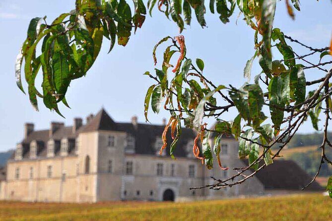 Half Day Tour of the Cote de Nuits Vineyards from Dijon - A Closer Look at the Half Day Tour of the Côte de Nuits Vineyards from Dijon