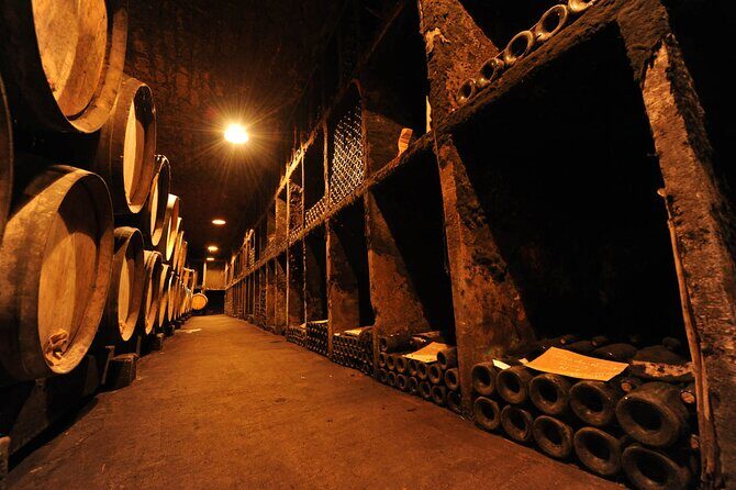 Half Day Tour of the Cote de Nuits Vineyards from Dijon - Frequently Asked Questions