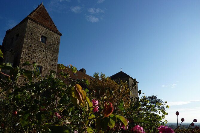 Half Day Tour of the Cote de Nuits Vineyards from Dijon - In The Sum Up