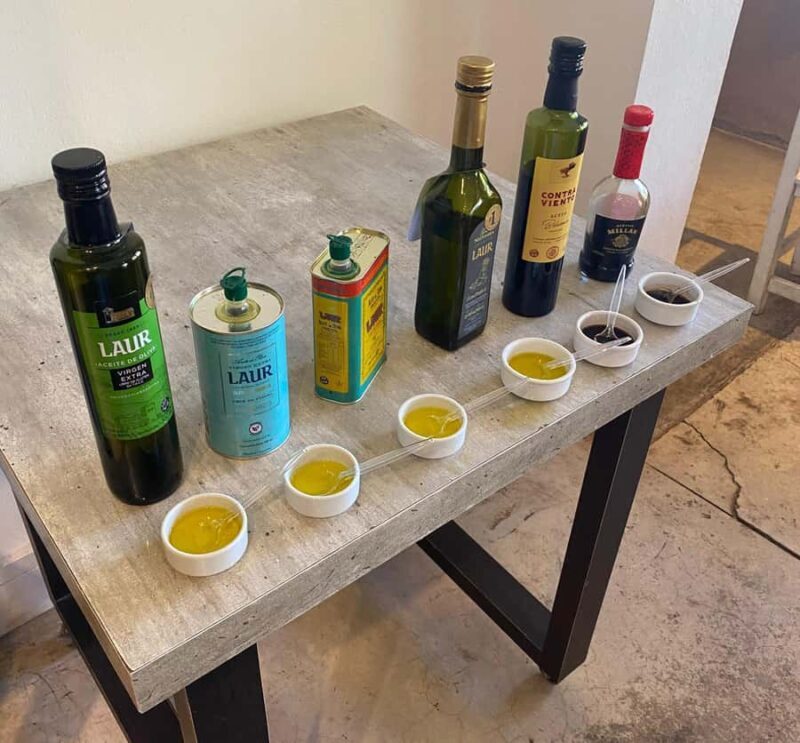 Half Day Tour of Wineries and Olive Oil from Mendoza - Who Should Consider This Tour?