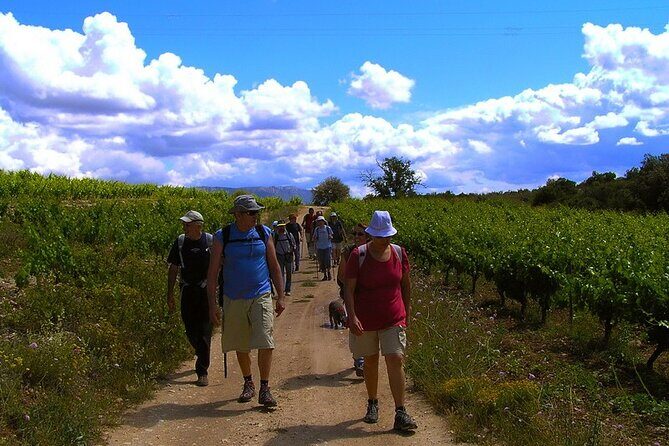 Half Day Tour of Wineries and Olive Oil with Lunch from Mendoza - In-Depth Review of the Wineries and Olive Oil Experience