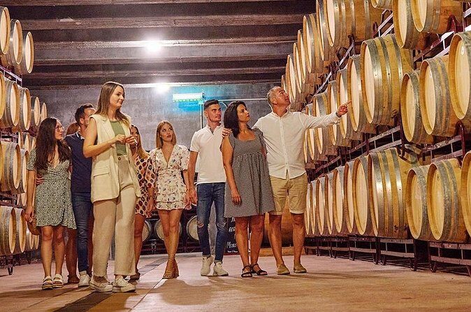 Half Day Tour of Wineries and Olive Oil with Lunch from Mendoza - Final Thoughts