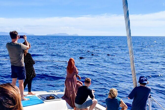 Half Day Tour on a Luxury Catamaran on Madeira Island - FAQs