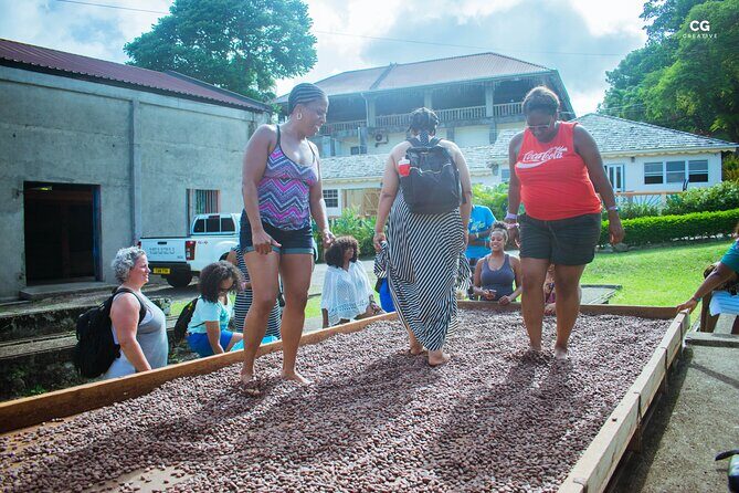 Half Day Tour - Popular Sites in Grenada, Forest Reserve,Spice Market,Waterfalls - Key Points