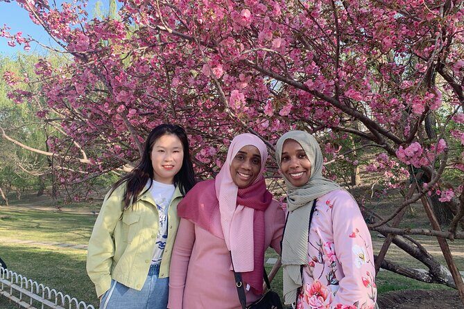 Half Day Tour: Summer Palace, Yuyuantan Park with CCTV Tower Dinning Experience - FAQs