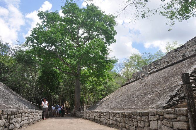 Half-Day Tour to Ancient Coba Ruins and Swim at Mayan Cenote - The Sum Up