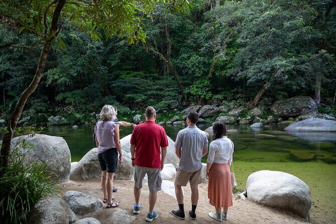 Half Day Tour to Daintree Rainforest and Mossman Gorge - Detailed Review: Why This Tour Works (and What to Watch For)