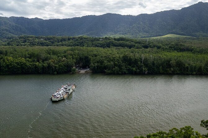 Half Day Tour to Daintree Rainforest and Mossman Gorge - The Sum Up: Who Is This Tour Best For?
