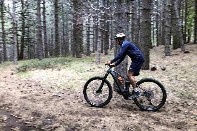 Half Day Tour to discover Etna by E-Mtb - Final Thoughts: Who Will Love This Tour?