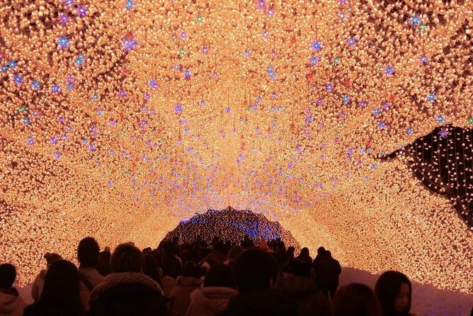 Half-day tour to enjoy Japan's largest illumination and outlet - Key Points