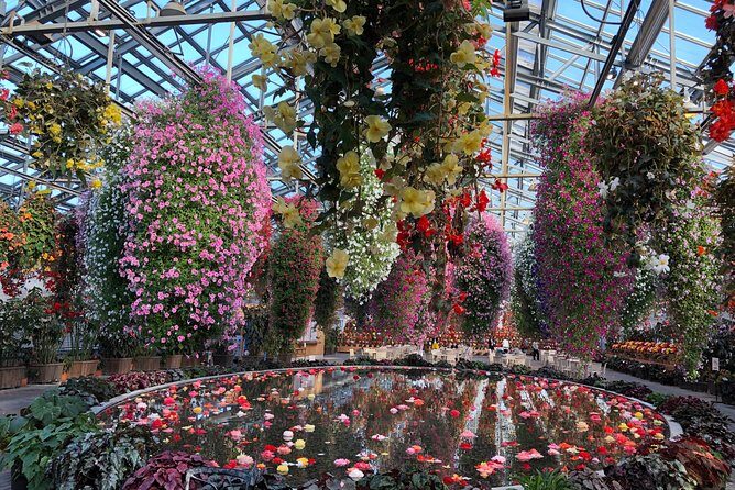 Half-day tour to enjoy Japan's largest illumination and outlet - References