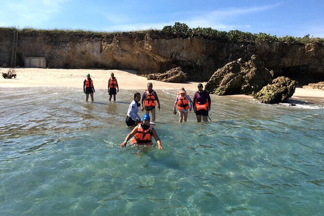 Half-Day Tour to Marietas Islands, Playa Nopalera by Speedboat - The Sum Up