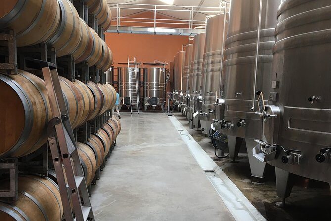 Half-day tour to Saint Emilion, a UNESCO site, with a private guide - Is It Worth the Price?