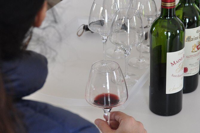 Half-day tour to Saint Emilion, a UNESCO site, with a private guide - What Do the Reviews Say?