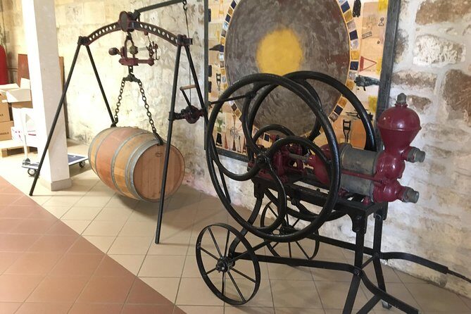 Half-day tour to Saint Emilion, a UNESCO site, with a private guide - Who Would Enjoy This Tour?