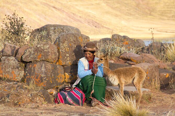 Half Day Tour to Sillustani from Puno - Practical Considerations and What to Expect