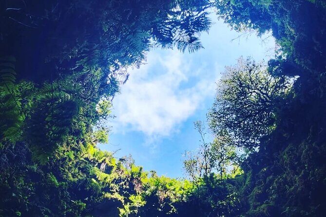 Half Day Tour to the Caves - The Experience: What to Expect and How It Feels