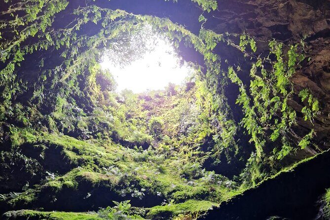 Half Day Tour to the Caves - Who Is This Tour Best For?
