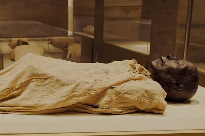 Half-Day Tour To The Mummies Museum & 1Hour Felucca Nile Ride - Practical Details and Tips