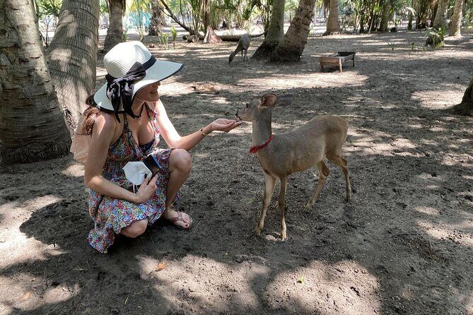 Half-Day Tour to Ventanilla, Mazunte, Zipolite and Puerto Angel - An In-Depth Look at the Itinerary