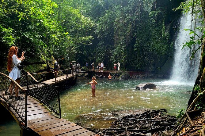 Half Day Tour Ubud Rice Terrace with Activities and Waterfall - Discover Bali’s Heartland: Ubud Rice Terrace and Waterfall Tour