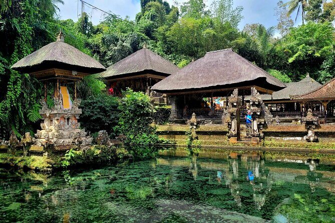 Half Day Tour Ubud Rice Terrace with Activities and Waterfall - Why Travelers Love This Tour