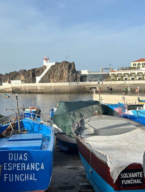 Half Day tour with Madeira Wine tasting - An In-Depth Look at the Madeira Jeep & Wine Tour