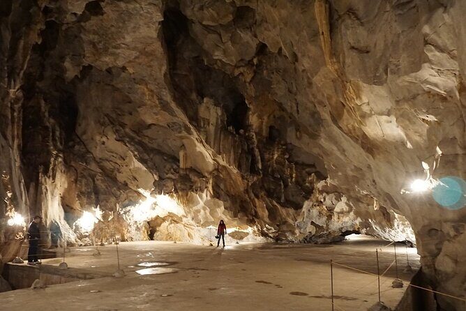 Half Day Trekking Cat Ba National Park - Final Thoughts