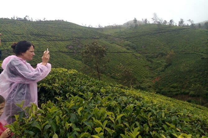 Half Day Trekking In Munnar - A Closer Look at the Trekking Experience