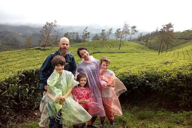 Half Day Trekking In Munnar - Final Thoughts: Who Is This Tour Best For?
