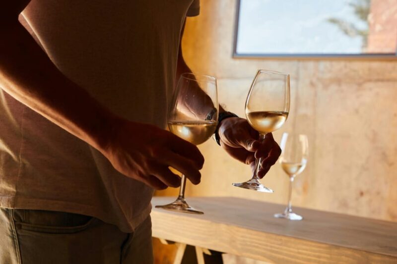 Half-Day Trip from Madrid: Alcalá de Henares & Winery Visit - A Practical Look at the Half-Day Trip from Madrid: Alcalá de Henares & Winery Visit