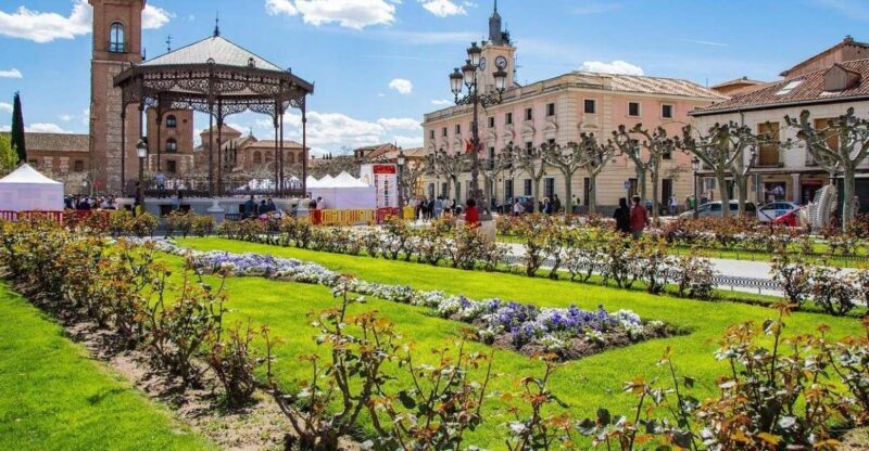Half-Day Trip from Madrid: Alcalá de Henares & Winery Visit - Who Should Consider This Tour?