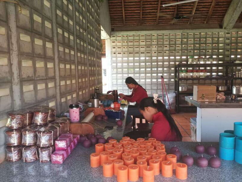 Half Day Trip: Silk Farm, Satcha, and Senteur d'Angkor Tour - Authentic Insights from Travelers