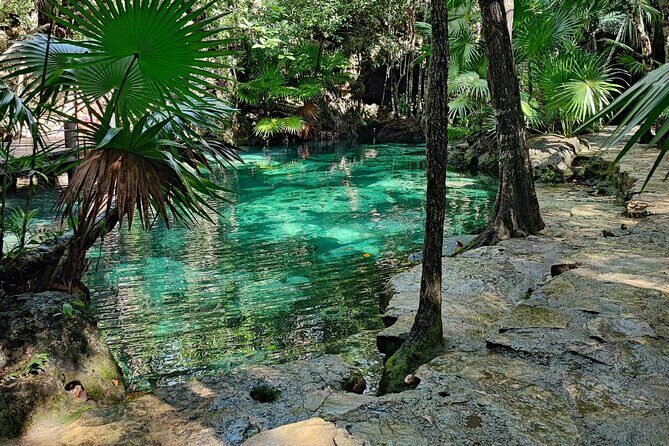 Half-day Tulum ruins and cenote swim arrive before the crowds - Final Thoughts: Is This Tour Right for You?