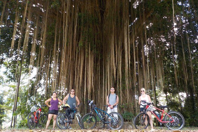 Half-Day Ubud Electric Cycling Tour to Tirta Empul Water Temple - Who Should Consider This Tour?