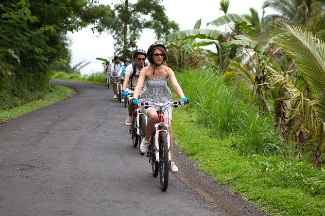 Half-Day Ubud Rice Field and Village Cycling Tour - Practical Details and Why They Matter