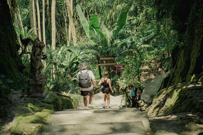 Half Day Ubud Waterfall Tour - The Highlights and Why They Matter