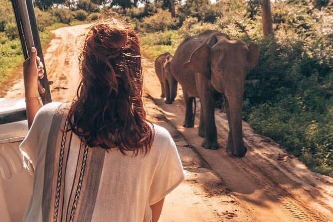 Half Day Udawalawe National Park Safari (Entrance + Lunch) - Frequently Asked Questions