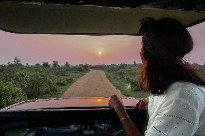 Half Day Udawalawe Safari (Entrance + Lunch) - Why This Tour is a Great Value