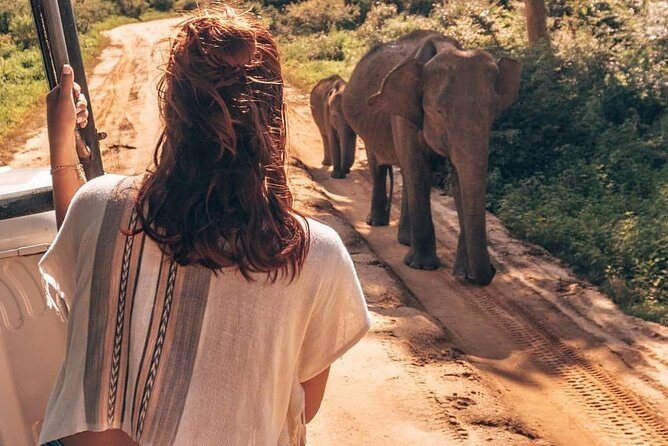 Half Day Udawalawe Safari from Kalutara (Entrance + Lunch) - A Closer Look at the Half-Day Udawalawe Safari from Kalutara