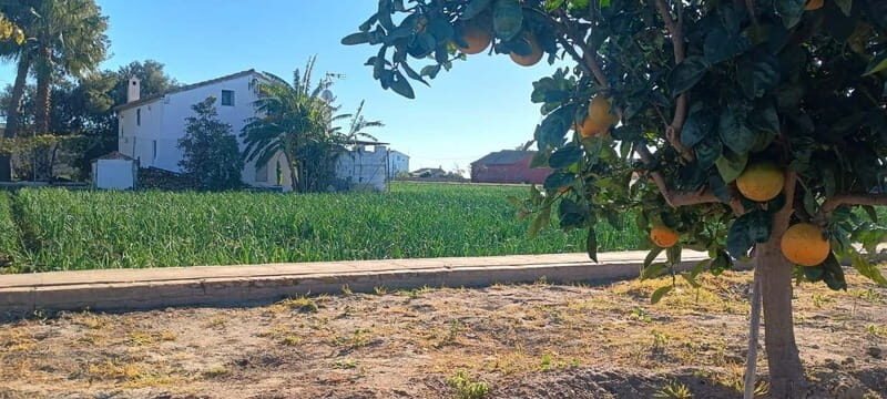 Half Day Valencia Foodie Cycling Tour - Final Thoughts
