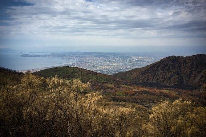 Half-Day Vesuvius Drive and Summit Hike from Naples with Lunch - Practical Tips for Travelers