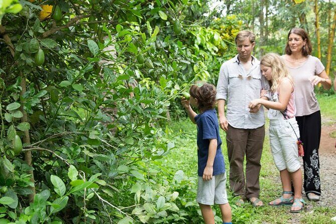 Half Day Village Backwater Eco Country Boat Cruise :Group Tour from Fort Cochin - A Deep Dive into the Backwater Experience