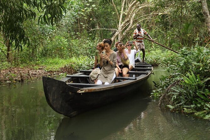 Half Day Village Evening Eco House Boat Tour - A Gentle Journey Through Kerala’s Backwaters: The Half Day Village Evening Eco House Boat Tour