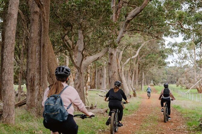 Half Day Wadandi Track Scenic E-Bike Tour - The Quirky Charm of Dear Darnell’s