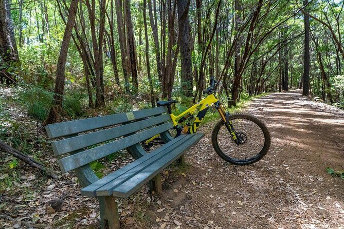Half Day Wadandi Track Scenic E-Bike Tour - Final Thoughts: Who Will Love This Tour?