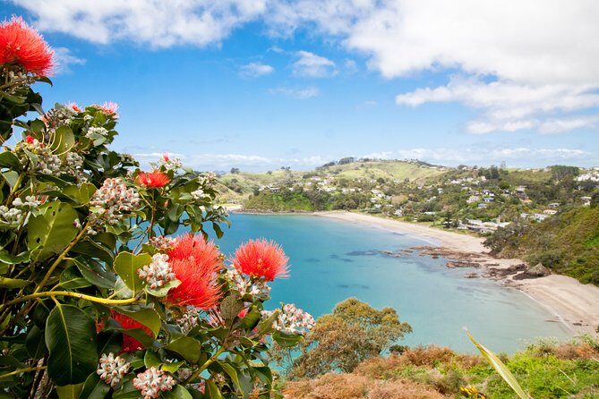 Half Day Waiheke Wine Tour - FAQ