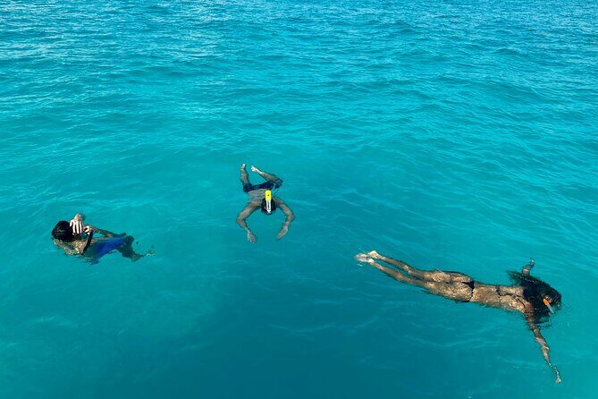 Half Day Wake Surfing and Snorkeling #1 Adventure in Cancun 4hr - A Closer Look at the Experience