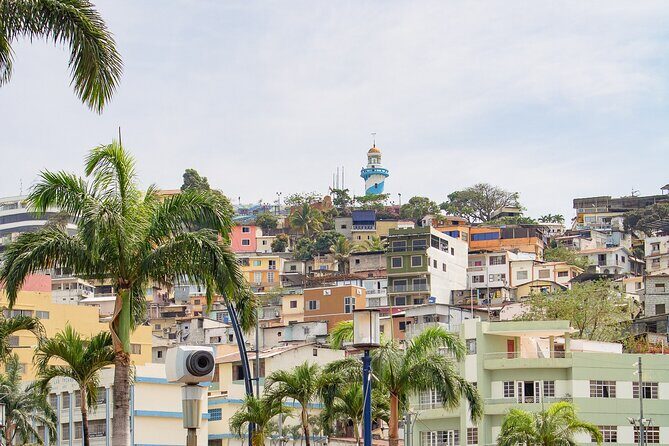 Half Day Walking Tour of Guayaquil Pearl of the Pacific - FAQs