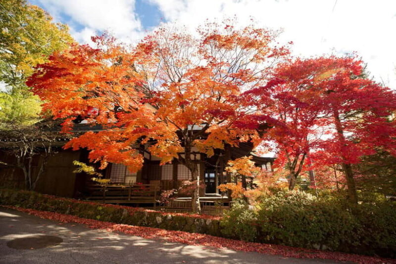 Half-Day Walking Tour: Takayama's Hidden Gems & Temple Walk - What’s Included and What’s Not